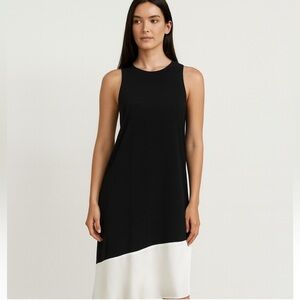 NWT  Club Monaco Black/White Colorblock Dress 100% Silk Size 2